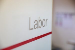 Labor